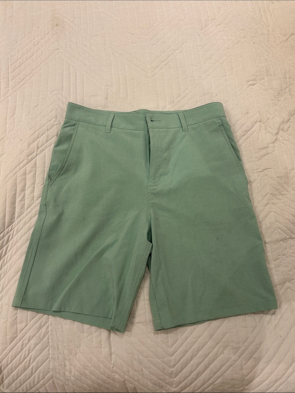 Panama Jack Men's Mint Green Stretch Performance Shorts 33